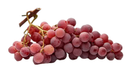 Red Globe Grapes