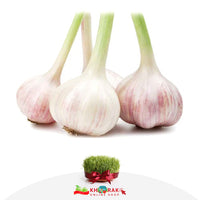Garlic Fresh (ea) Sold in singles