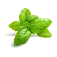 Basil Green (Reyhan) Sold in bunches