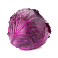 Cabbage Red (Sold in single)