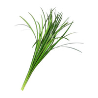 Chives Columbia (Sold in singles)