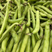 Fresh Fava Beans 1 lb