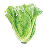 Lettuce Romain  Hearts 3 pcs(Sold in singles)