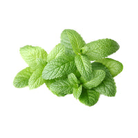 Fresh Mint (Sold in bunches)
