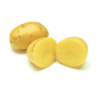Potato Yukon Gold (Pack of 3)