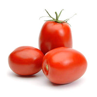 Tomato Roma (Pack of 3)
